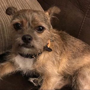 Meet your Posher, Lisamarie